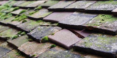 Cholsey roof repair costs